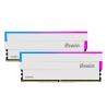 Biwin DW100 DDR5 6000 64GB CL30 (32*2) White RGB