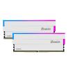 Biwin DW100 DDR5 6000 64GB CL30 (32*2) White RGB