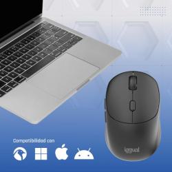 iggual Ratón inalámbrico NANO-OFFICE-6D 1600DPI