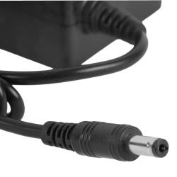 iggual Adaptador corriente AC-DC 12V 5A TPV
