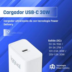 iggual Cargador rápido de pared USB PD tipo C 30W