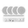 Hikvision DS-QAE1KA80206-4 Kit 1xAmpl 4xAlta Techo