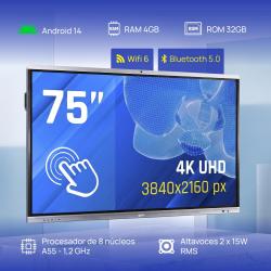 iggual Pantalla interactiva 4K ORCHID 75" Webcam