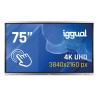 iggual Pantalla interactiva 4K ORCHID 75"