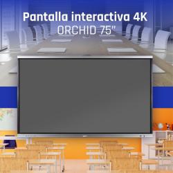 iggual Pantalla interactiva 4K ORCHID 75"